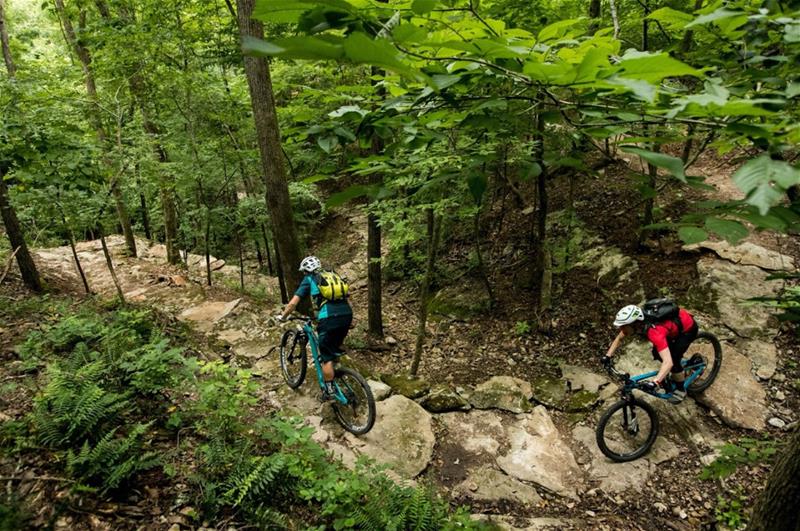 Biking in NWA